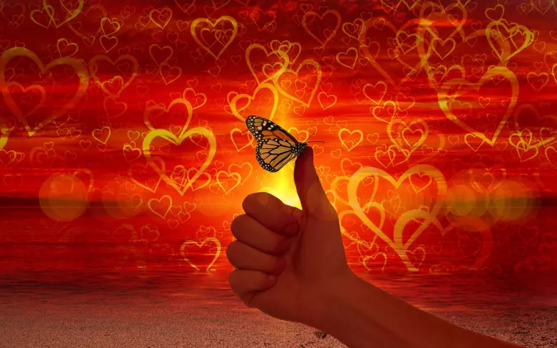 前任要结婚了，还没放下感情的我该怎么办？