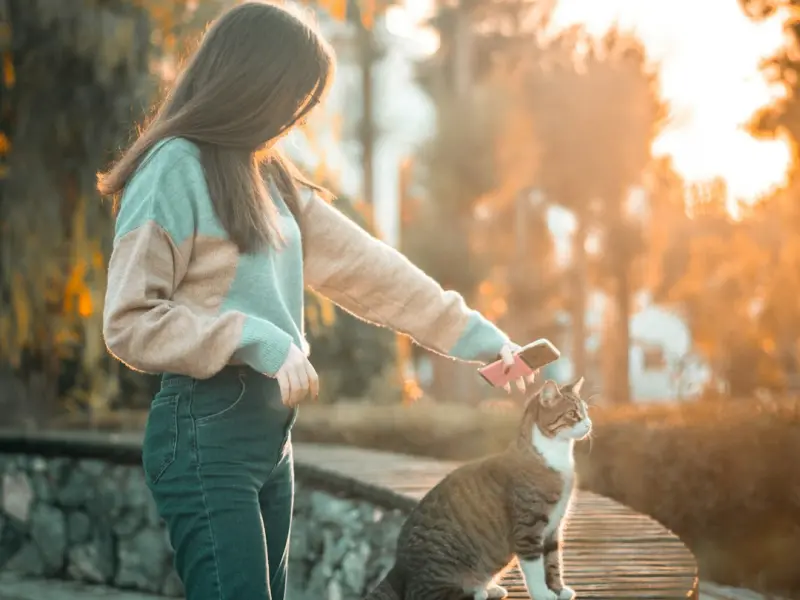 前任是我的初恋，我该如何挽回他？