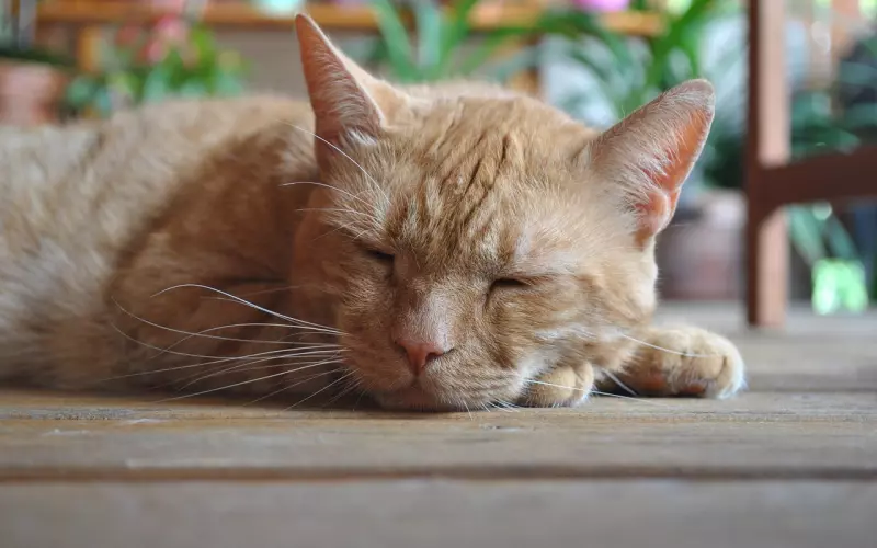 前任太绝情了，还能挽回吗？