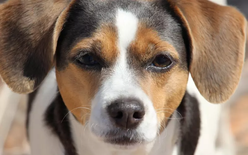 前任经常翻看我的朋友圈，我还能挽回他吗？