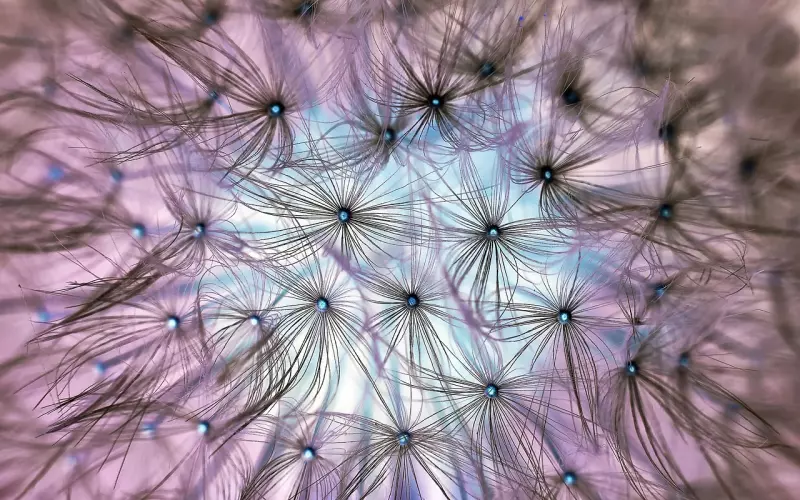 前任逆袭 看我怎么挽回前男友