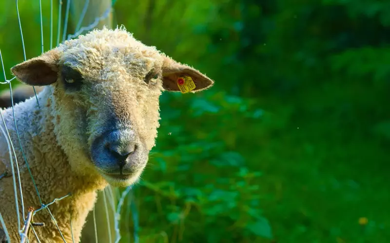 家里人不同意我和男友在一起 分歧很大怎么办