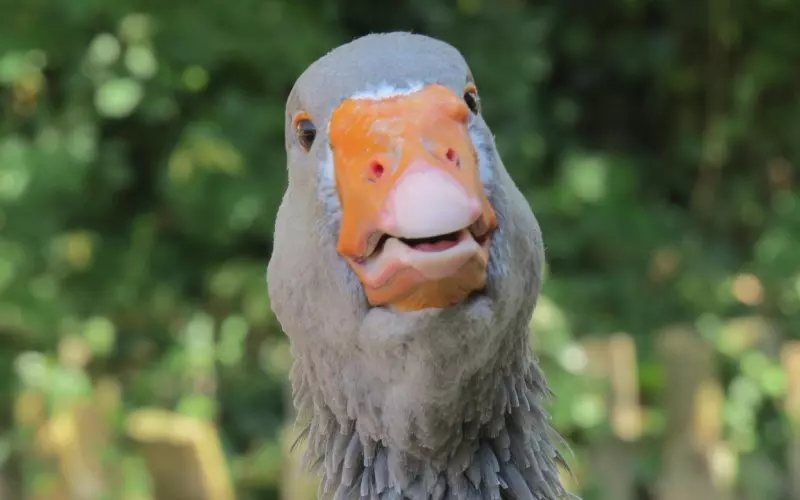 经济条件不好 跟男友在一起我觉得压力大怎么办