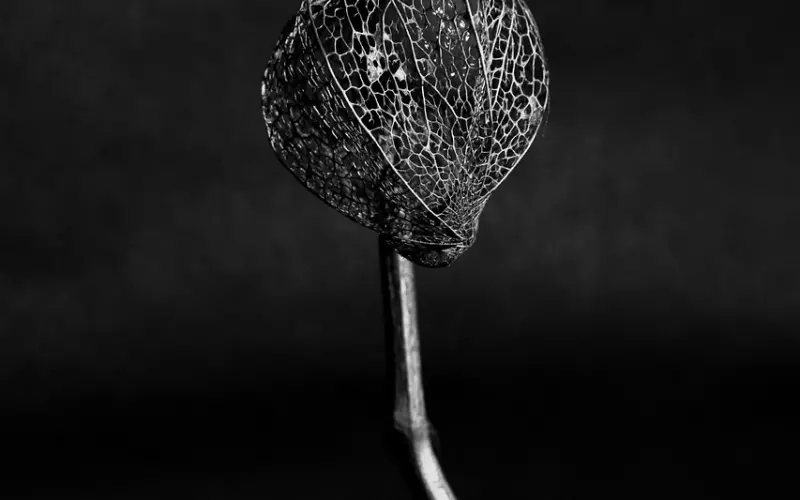 因为我的脾气很暴躁，女朋友和我分手了，怎么样才能挽回她