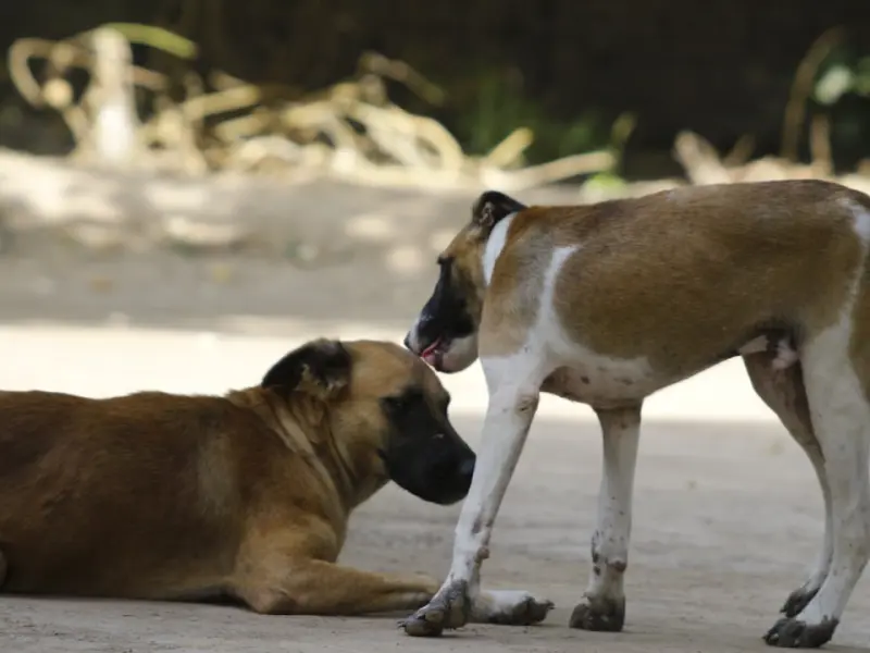 女朋友放不下它的前男友想要和我分手，我该怎么办