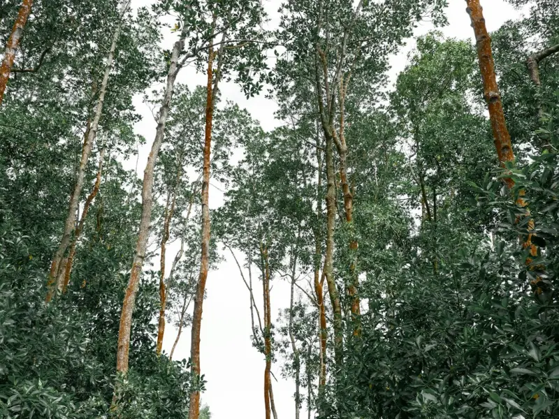 女朋友忍受不了我的坏脾气选择和我分手，有什么办法挽回呢