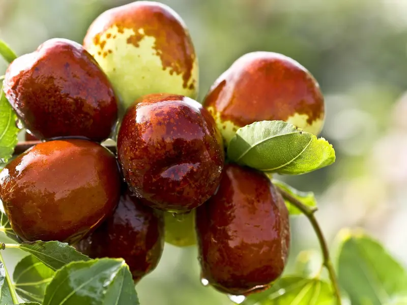 分手后女友一直躲着我，我该怎么去挽回她