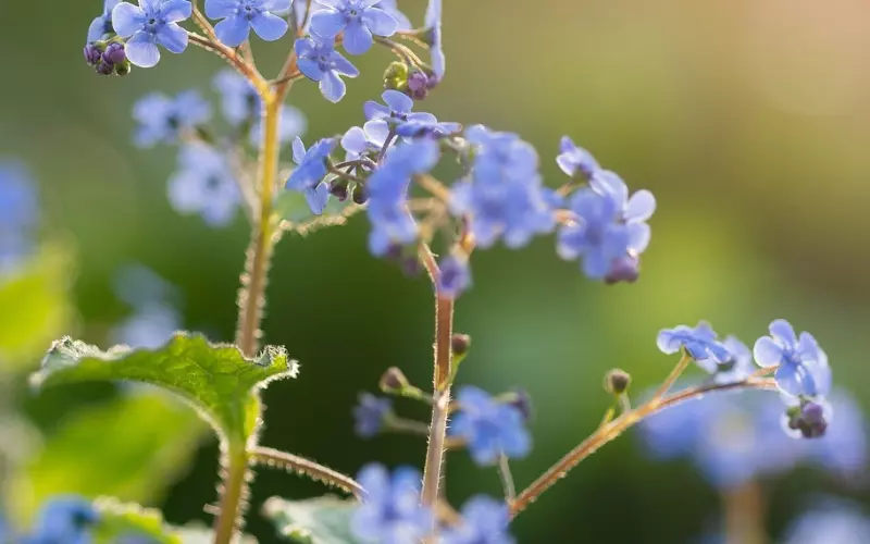 女友移情别恋了，我该怎么处理