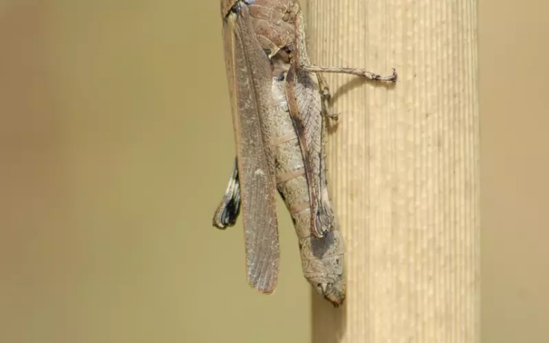 女友分手态度坚决 还能挽回吗？挽回几率还有多少？