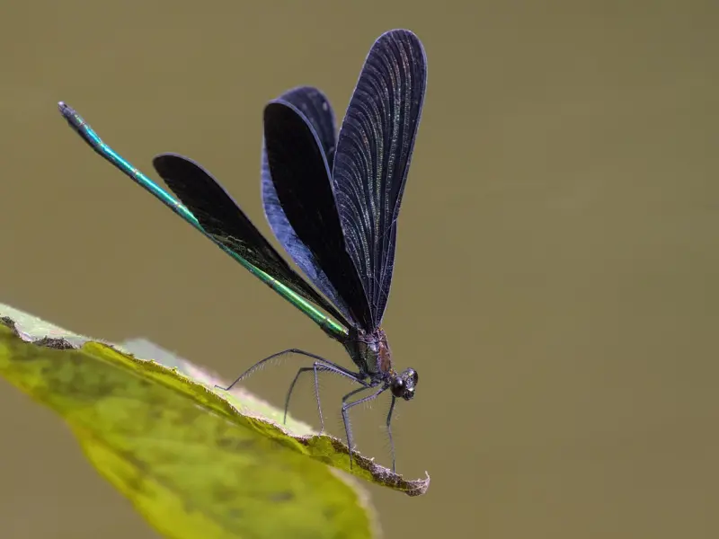 女友背着我跟她的追求者约会，该分手吗？
