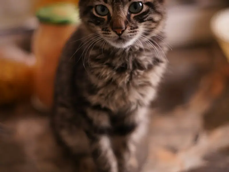 女朋友铁了心要和我分手，我怎么求她都没有用，有什么办法能够挽回她吗