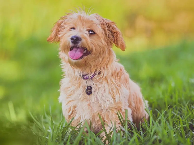 女朋友坚决和我分手，有什么办法能挽回她吗