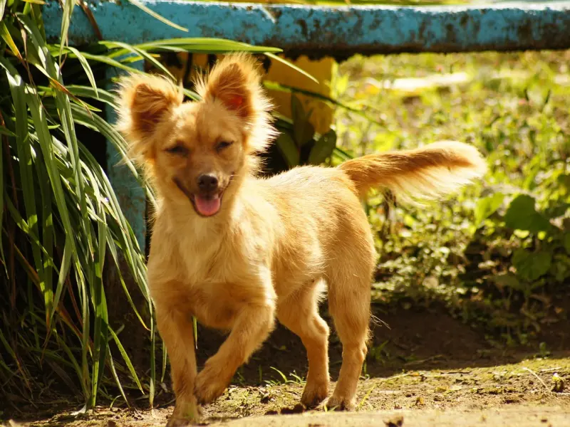 女朋友对我爱理不理，我该如何挽回这段感情？