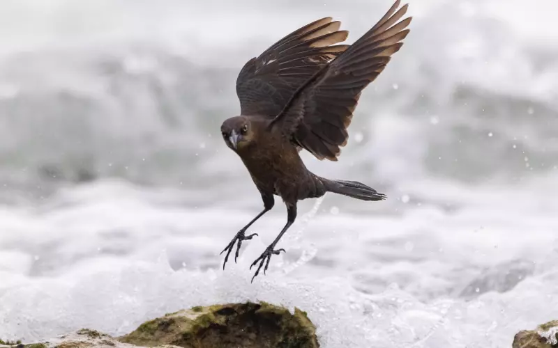 女友总说没有安全感，我该怎么办