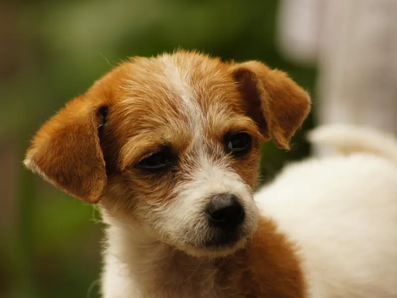 谈了俩个月的女友不肯跟我视频，我该怎么维持这段感情？