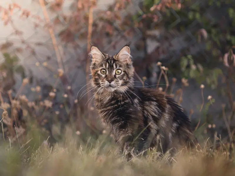 我付出了那么多女友却说我不够爱她，我该怎么做呢
