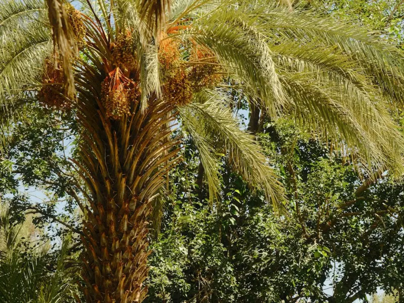 女朋友说我太慢热和我在一起太费精力，现在要和我分手，我该怎么去挽回她