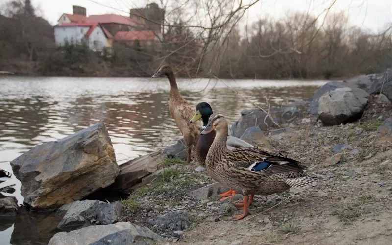 女朋友说我们已经不可能在一起了，怎么做才能挽回她