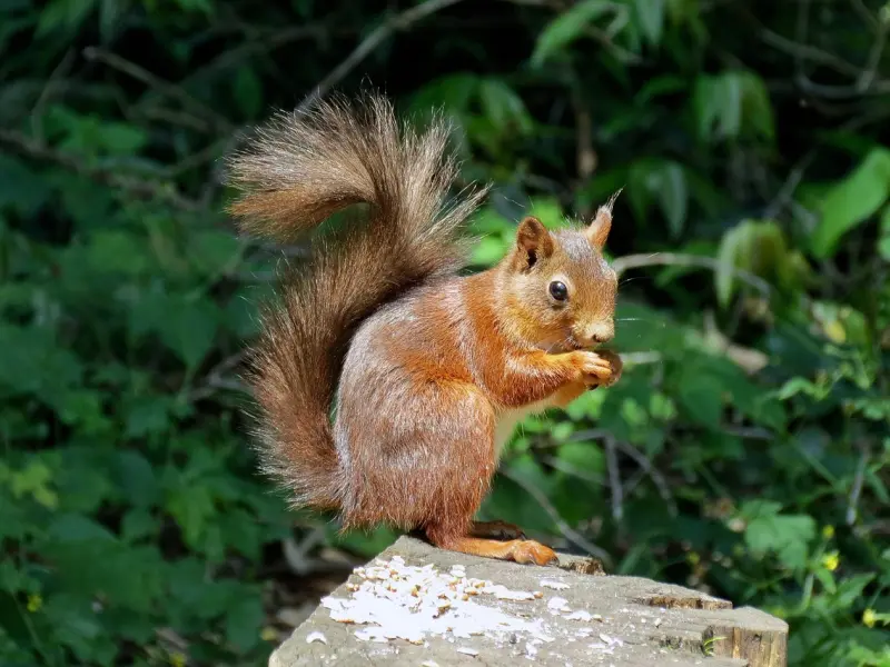 女友突然说不爱了，有没有好的挽回策略？