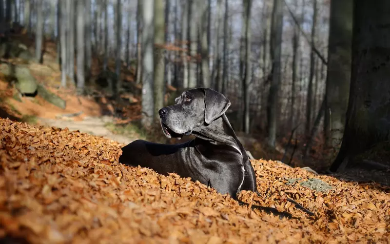 老公竟然背着我搞婚外情，我和他大吵一架之后他就在外面一直不回来，怎么样才能让他回归家庭