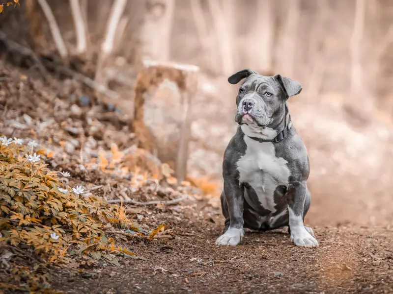 和老公离婚一年多了，现在想要和他复婚又怕他不同意，我该怎么办