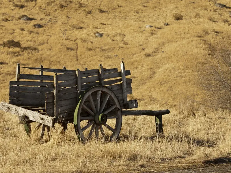 老公情人抛弃他，他说回到我身边还能要吗？