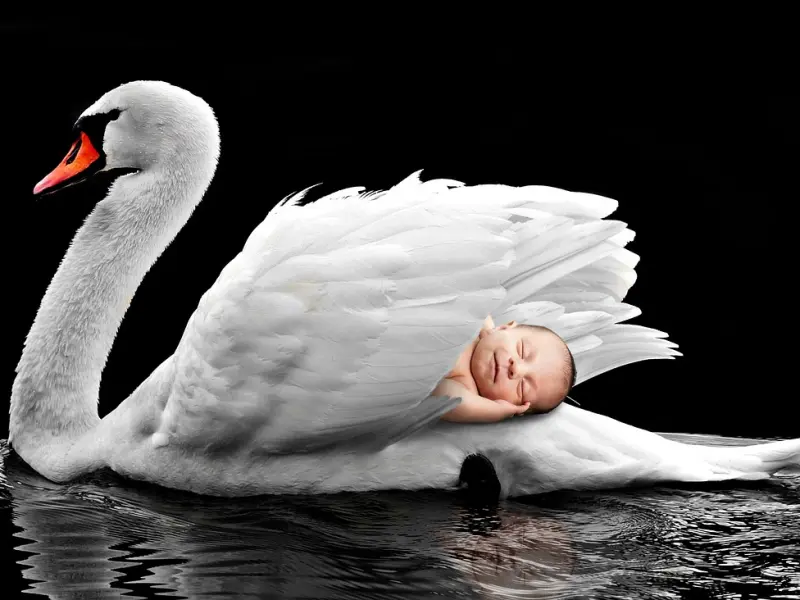 老公说不爱我了才出轨的，我该和他离婚吗