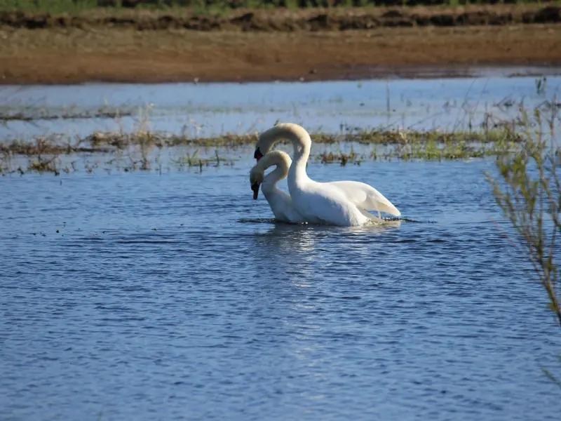 因为经常吵架所以老公出轨了，我该怎么办