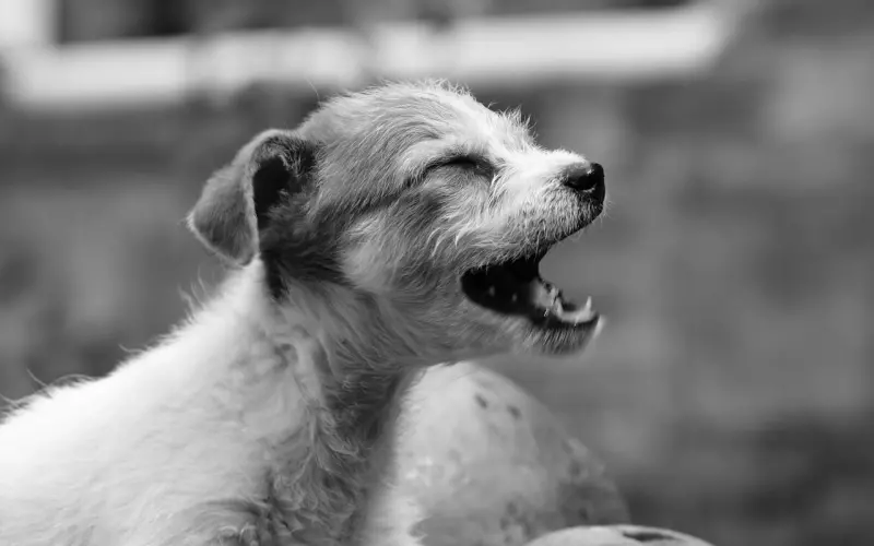 老公在我怀孕期间出轨，用了这一招我成功挽回