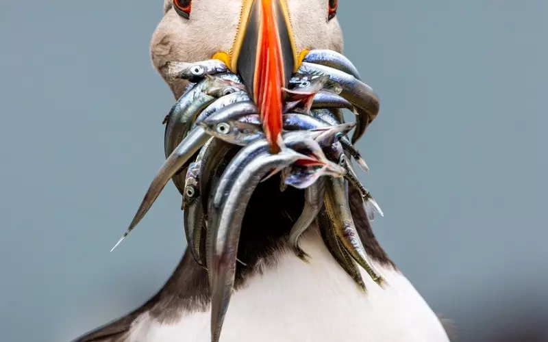 老公出轨还当我是生育工具，我该如何？