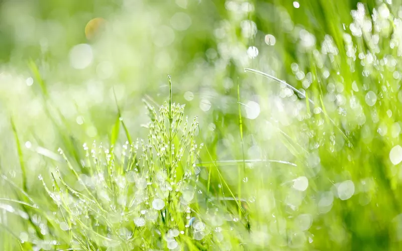 老公出轨了，一下几点教你挽回他