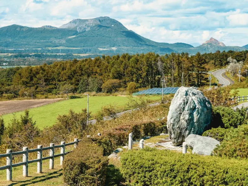 老公背叛了我们的婚姻，我该怎么办