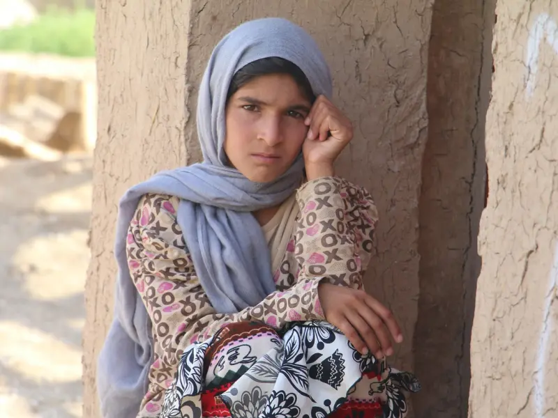 老公给我戴绿帽，我给小三送锦旗