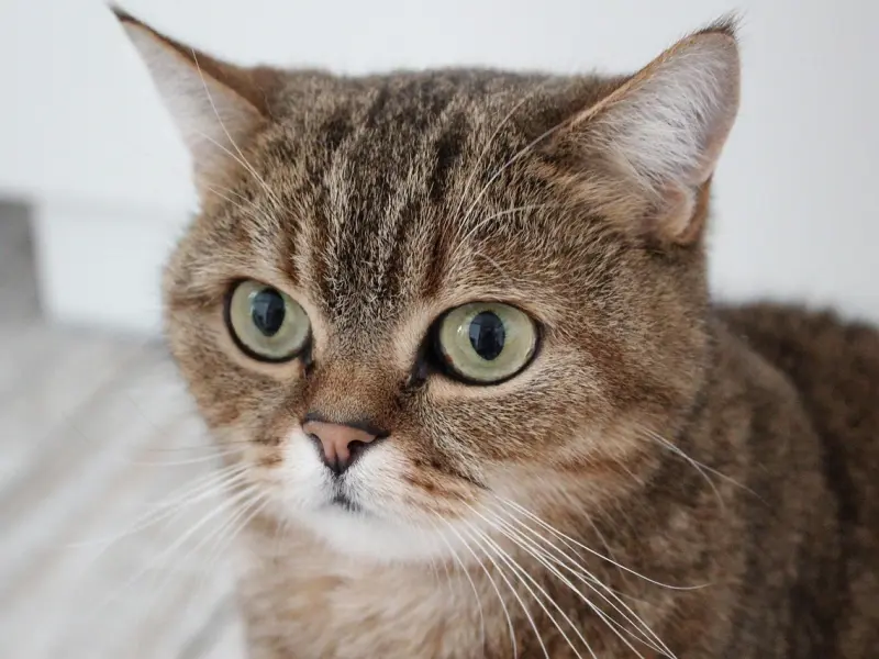 被老公发现我喜欢上别的男人，我该如何挽回我们的婚姻？