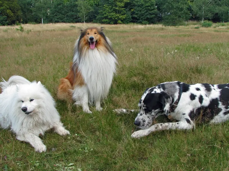 怀孕期间老公找了小三，我该如何挽救这段婚姻？