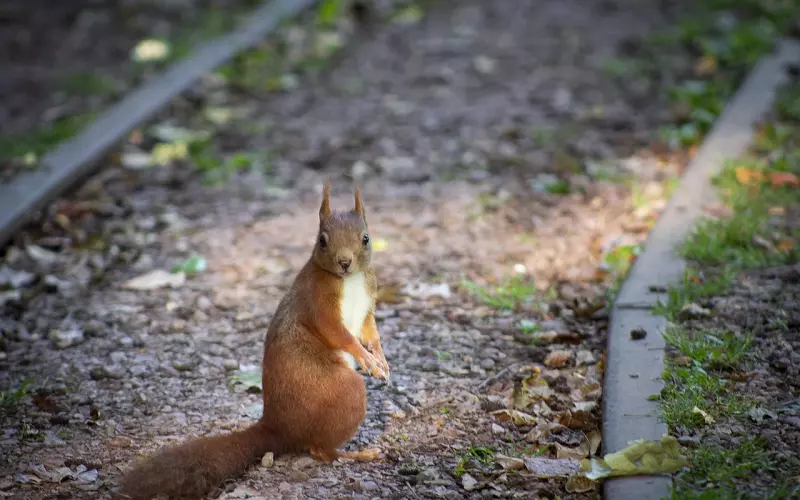 老公外面有了小三，该离婚吗
