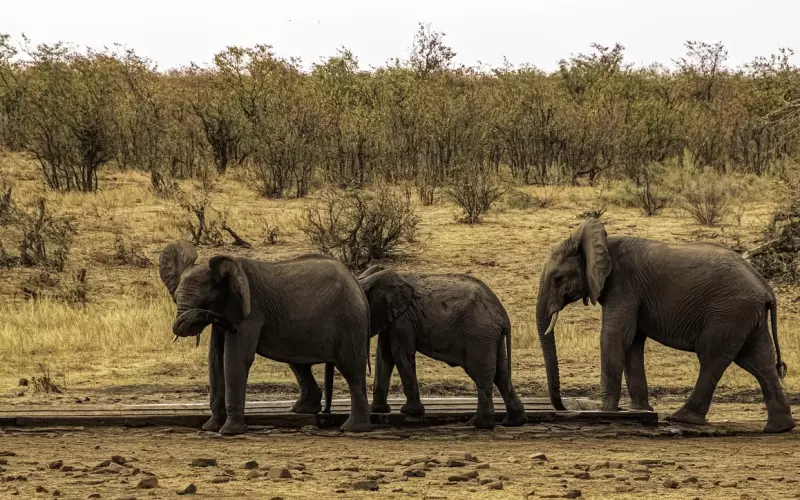 老公在外面有小三，怎么做才能即不伤夫妻和气又能切除小三