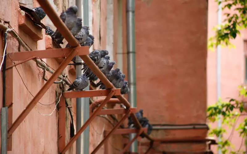 老公三番四次出轨，我该不该再挽留老公？