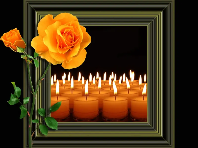 我的老公对我百依百顺，他为什么还会出轨？