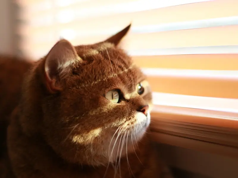 老公沉闷木讷，我喜欢上了浪漫的小伙子