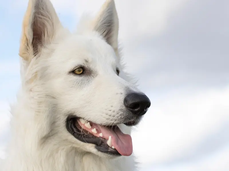 老公背着我搞婚外情，我真的好伤心，我该怎么办