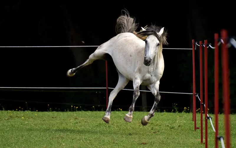 老公经常在外面鬼混，我该怎么办