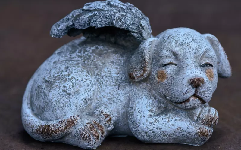 丈夫去世了想挽回又不知道对错？情感专家教你如何面对和处理