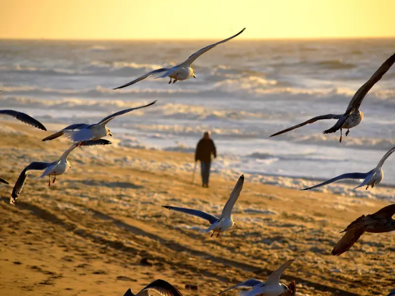 老公说都是我的暴脾气让他出轨的，我又不想离婚，我该怎么办