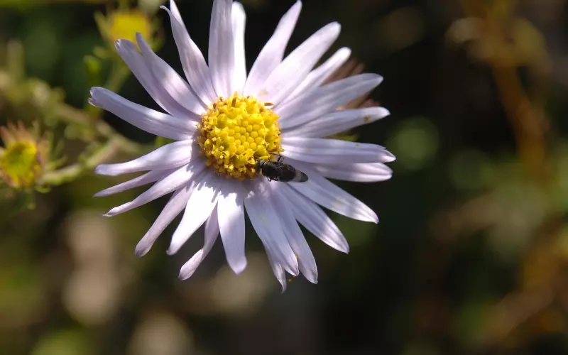 老公偷偷和别的女人幽会，我该怎么对付他们