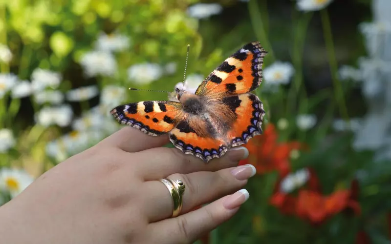 老公回归后还和小三保持联系，我该怎么办？