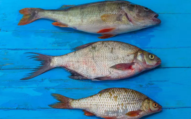 老公的身回来了，心如何抓住？