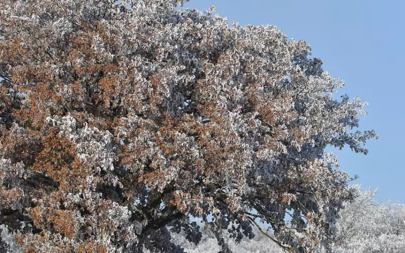 异地恋男友负能量很多 我都不想理他了怎么办