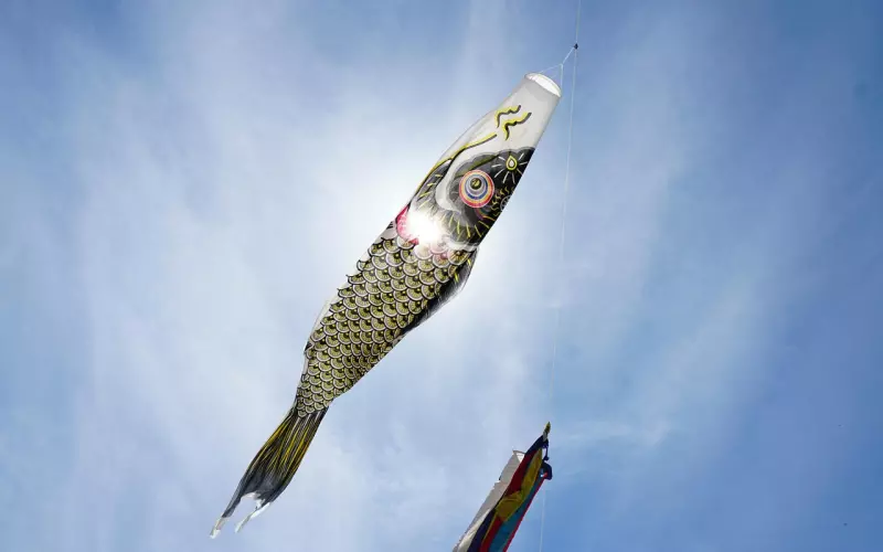 异地恋男友敏感多疑，我该为了他换工作吗