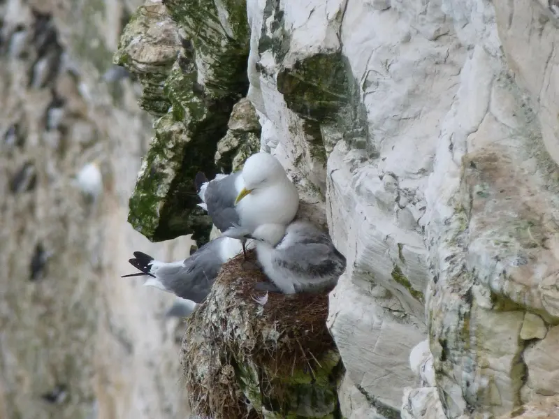 婚姻岌岌可危，该怎么挽回？